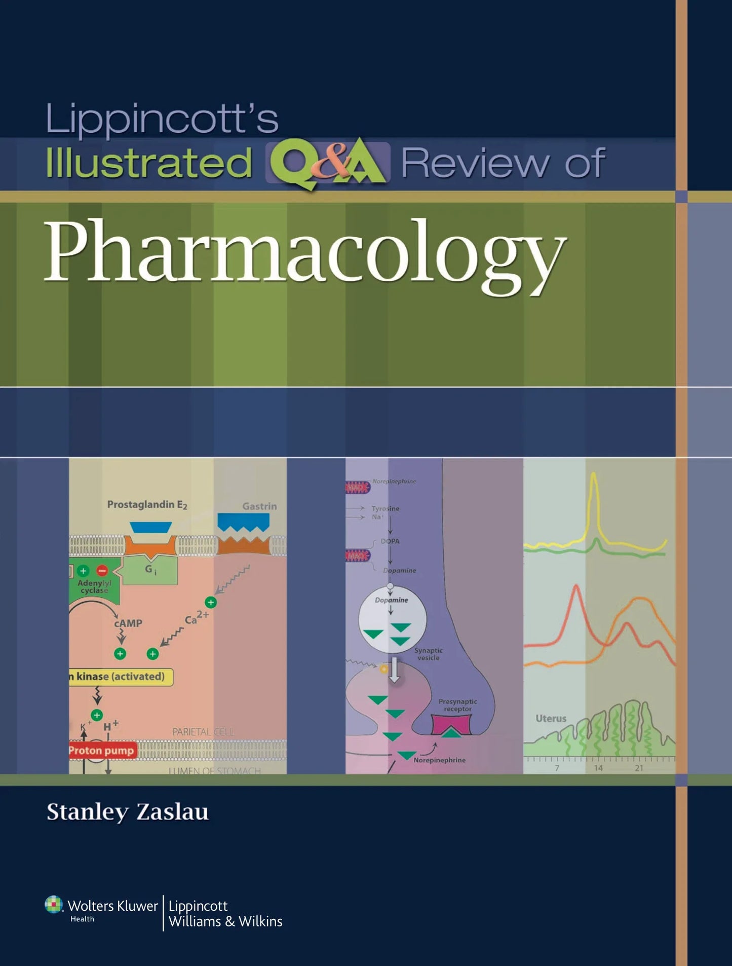 Lippincott's Illustrated Q&A Review of Pharmacology (Lippincott Illustrated Reviews Series) Illustrated Edition